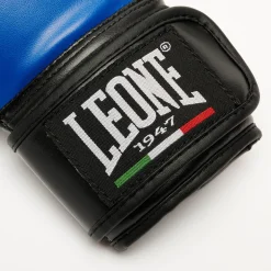 THUNDER BOXING GLOVES