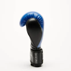 THUNDER BOXING GLOVES