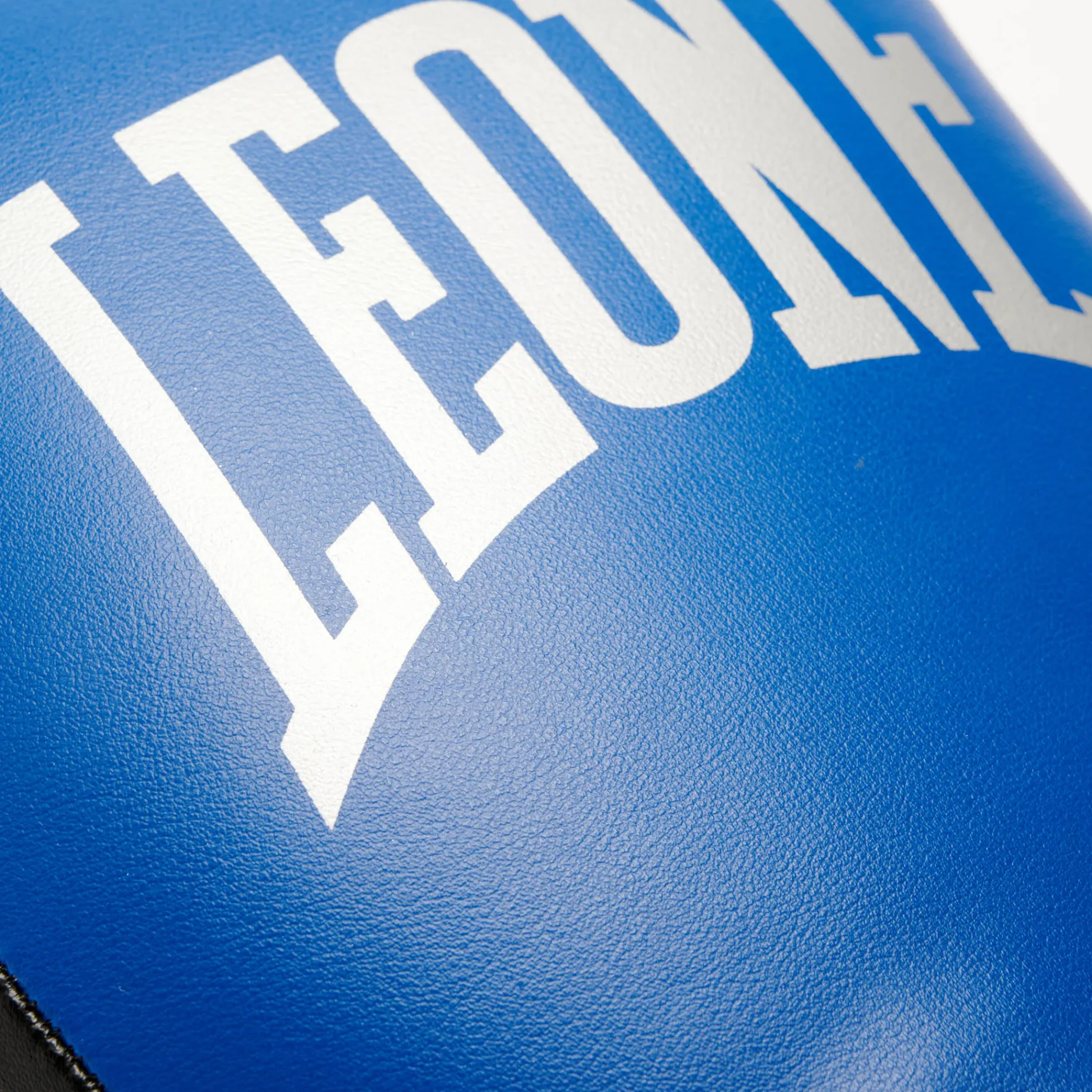 THUNDER BOXING GLOVES