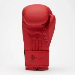 TONE X BOXING GLOVES